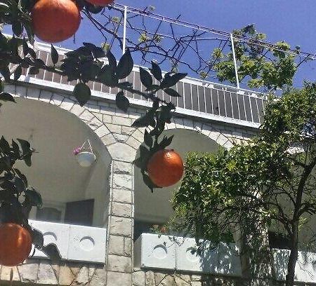 House Orange Apartments Herceg Novi Extérieur photo