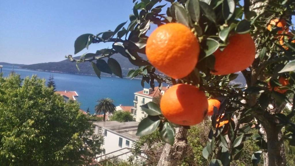 House Orange Apartments Herceg Novi Extérieur photo
