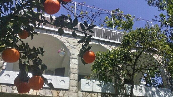 House Orange Apartments Herceg Novi Extérieur photo