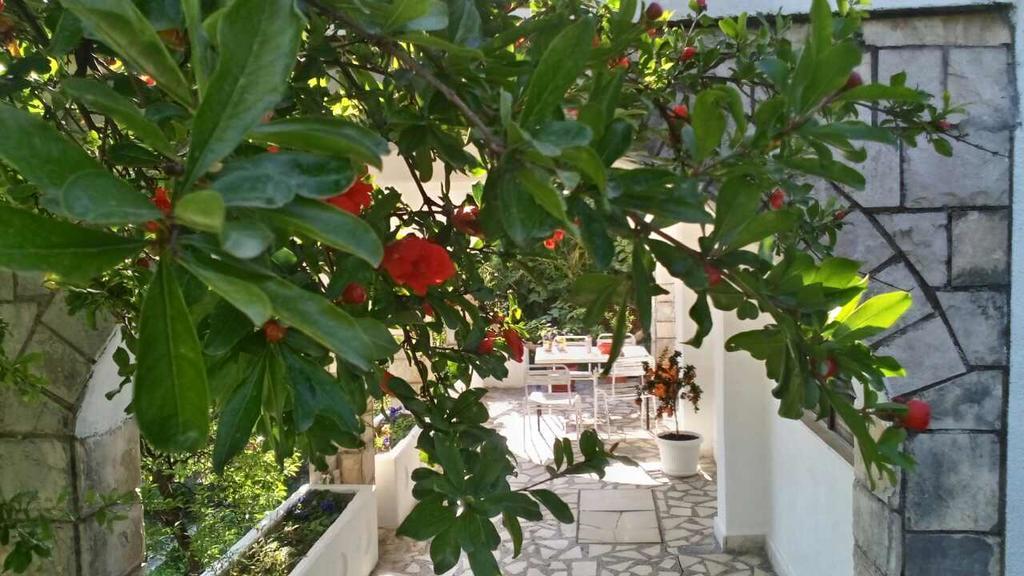 House Orange Apartments Herceg Novi Extérieur photo